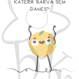 Katera barva sem danes?