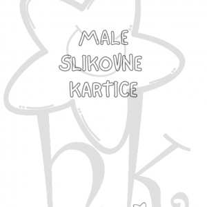 Male slikovne kartice