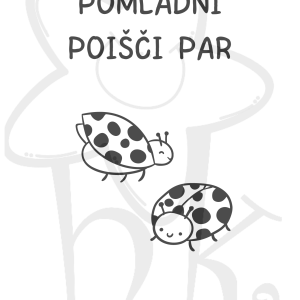 Pomladni poišči par