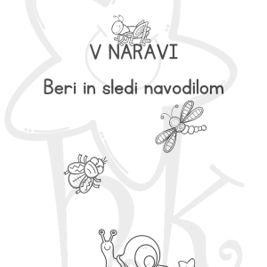 V naravi - sledi navodilom