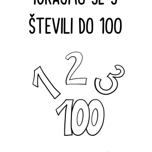 Igrajmo se s števili do 100
