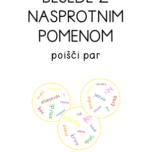 Besede z nasprotnim pomenom - poišči par