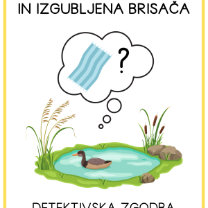DETEKTIVSKA ZGODBA o raci Rebeki - naslovnica